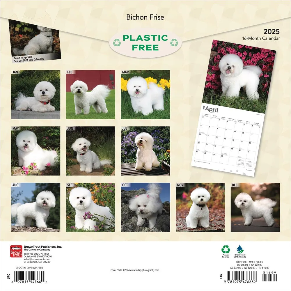 2025 Bichon Frise Wall Calendar