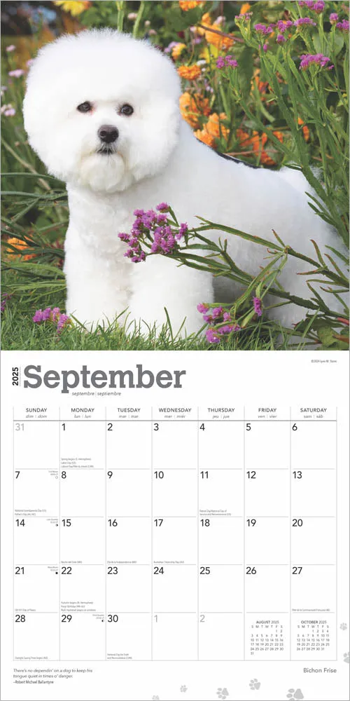 2025 Bichon Frise Wall Calendar