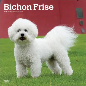 2025 Bichon Frise Wall Calendar