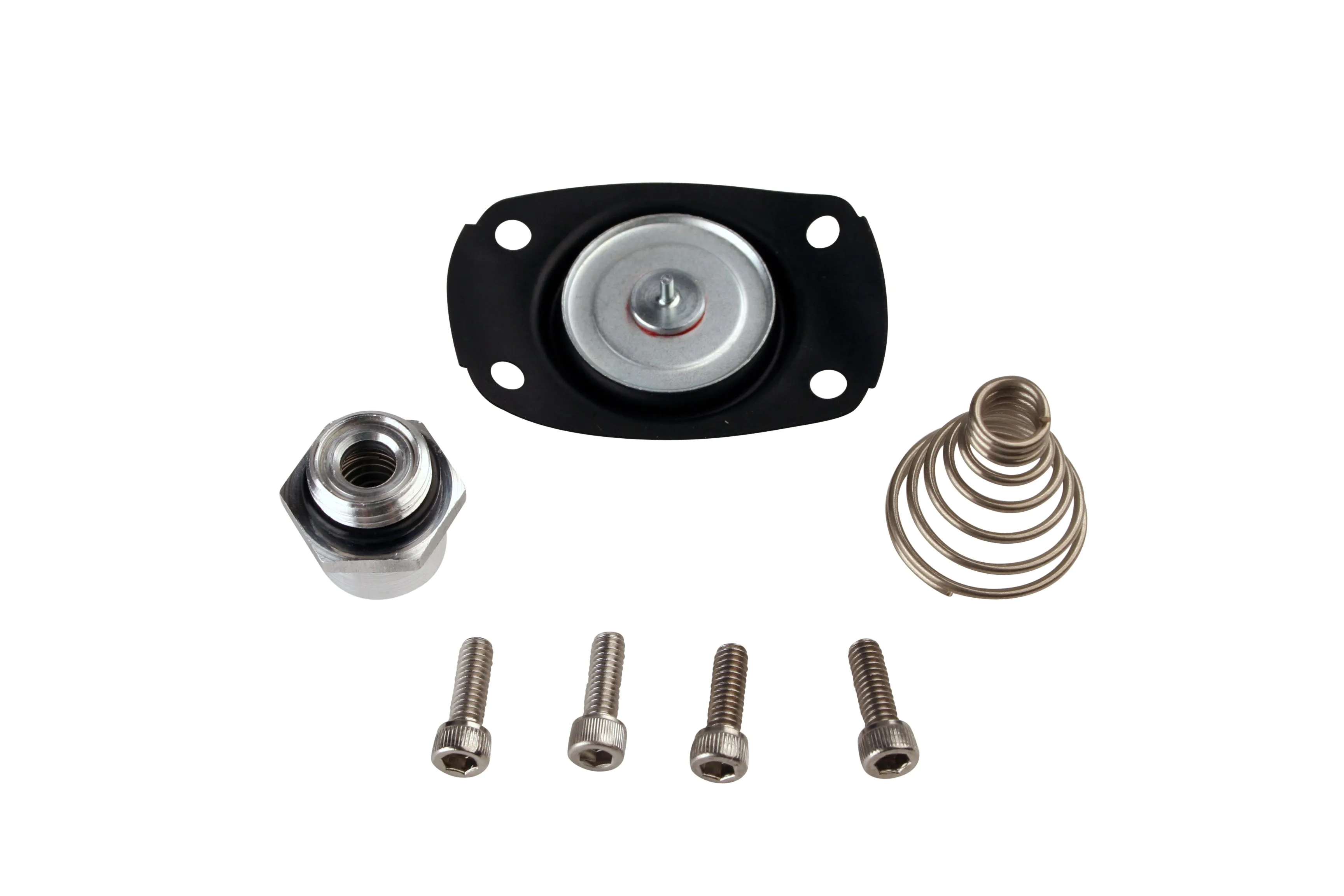 Aeromotive Fuel System 13005 Carb Regulator Repair Kit 13201,13205,13211,13215,13217,13251,13255.