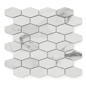 Chantel 12x11 Matte Porcelain Hexagon Mosaic Tile in Apuano