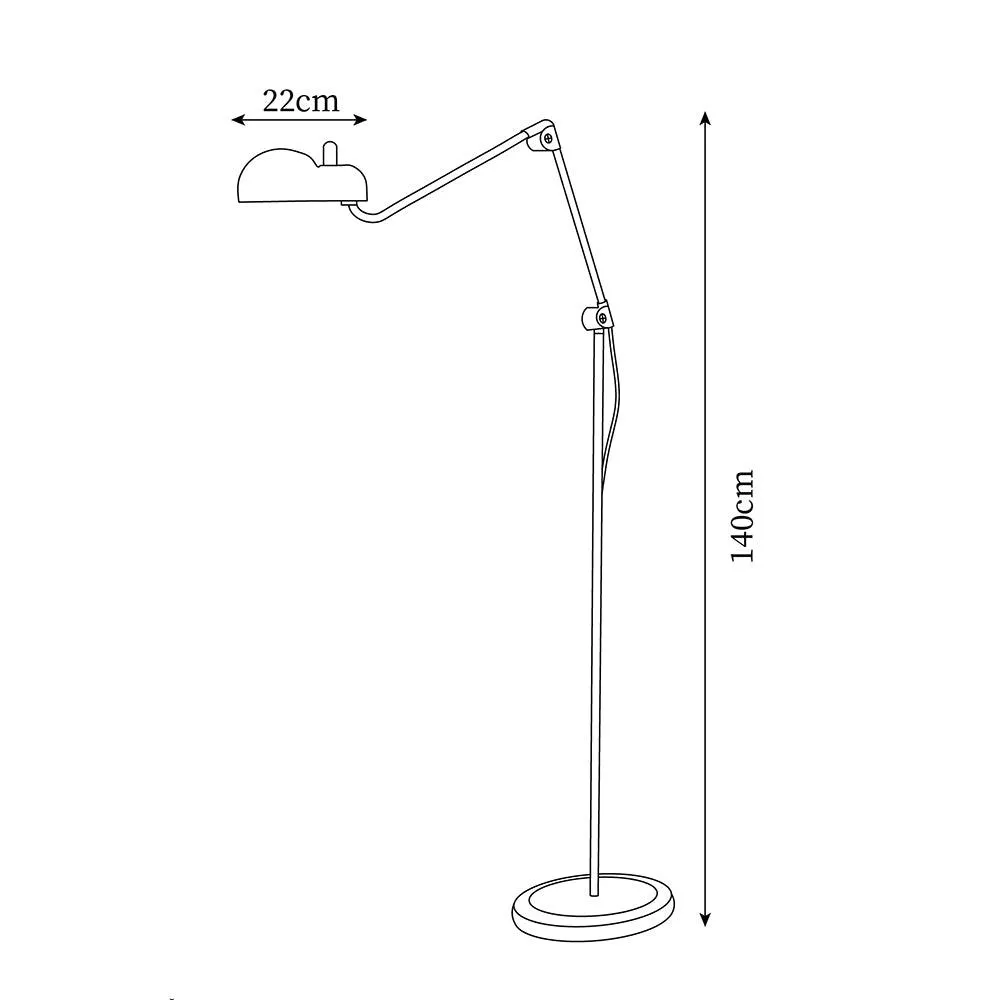 Paolo Floor Lamp 8.6″- 55″