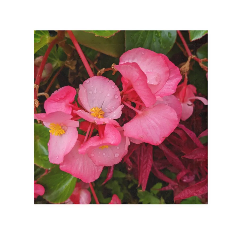 Pink Flower Face Towel